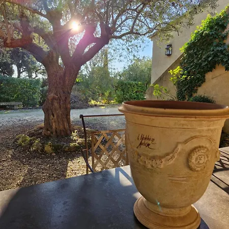 Bastide Des Oliviers