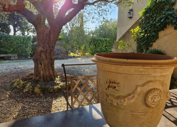 Bastide Des Oliviers